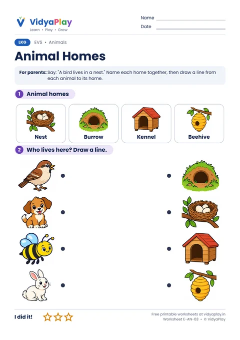 EVS worksheet: animal homes