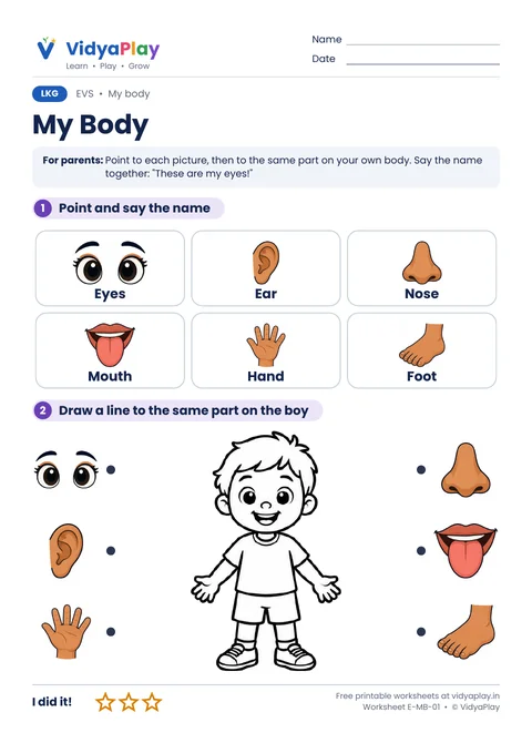 EVS worksheet: my body