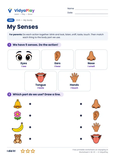 EVS worksheet: my five senses