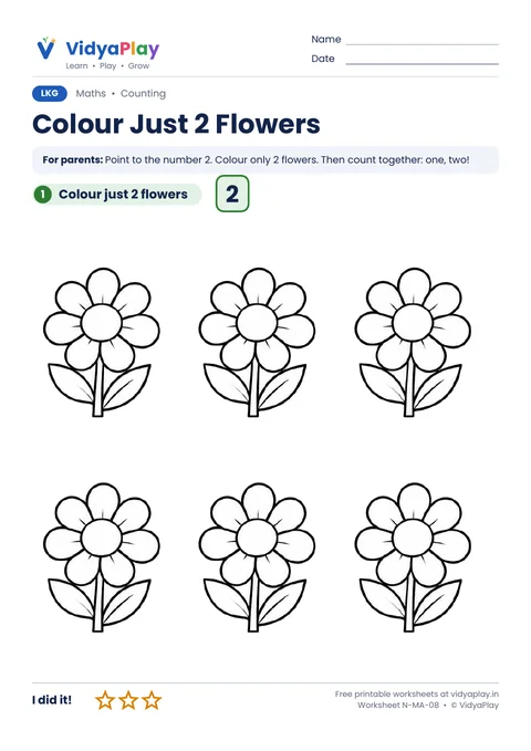 Number 2 worksheet: colour just two flowers